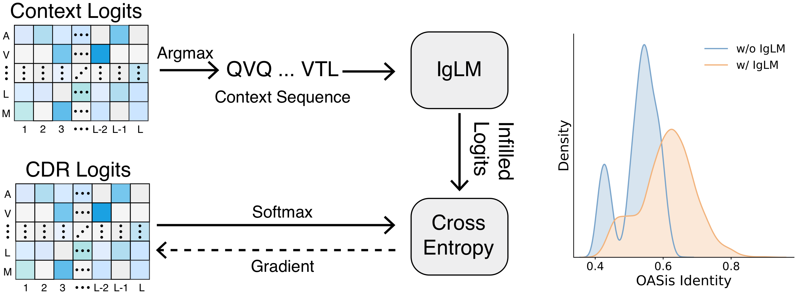 CDR-restricted IgLM guidance