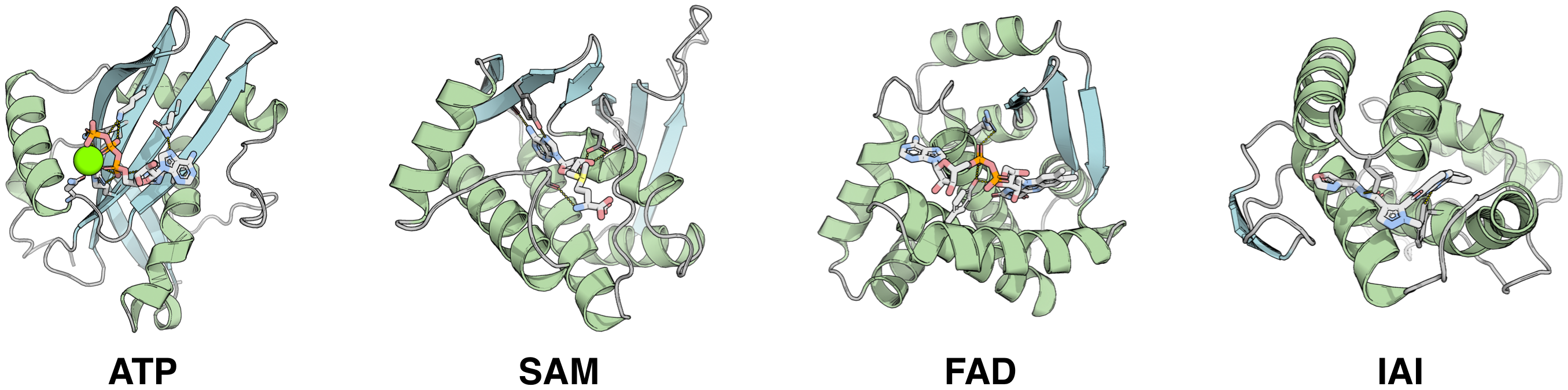 Small-molecule pocket designs